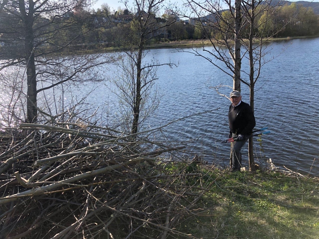 Rydding av kantvegetasjon ved Nesttunvannet