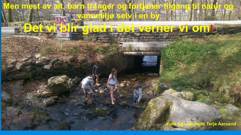 Årsmøte i Nesttun vassdragets venner.