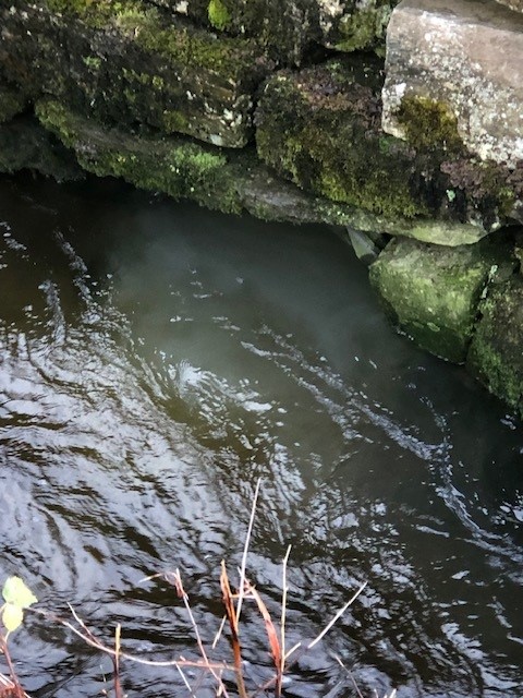 Artikkelbilde til artikkelen Ny forurensing i Sanddalselven