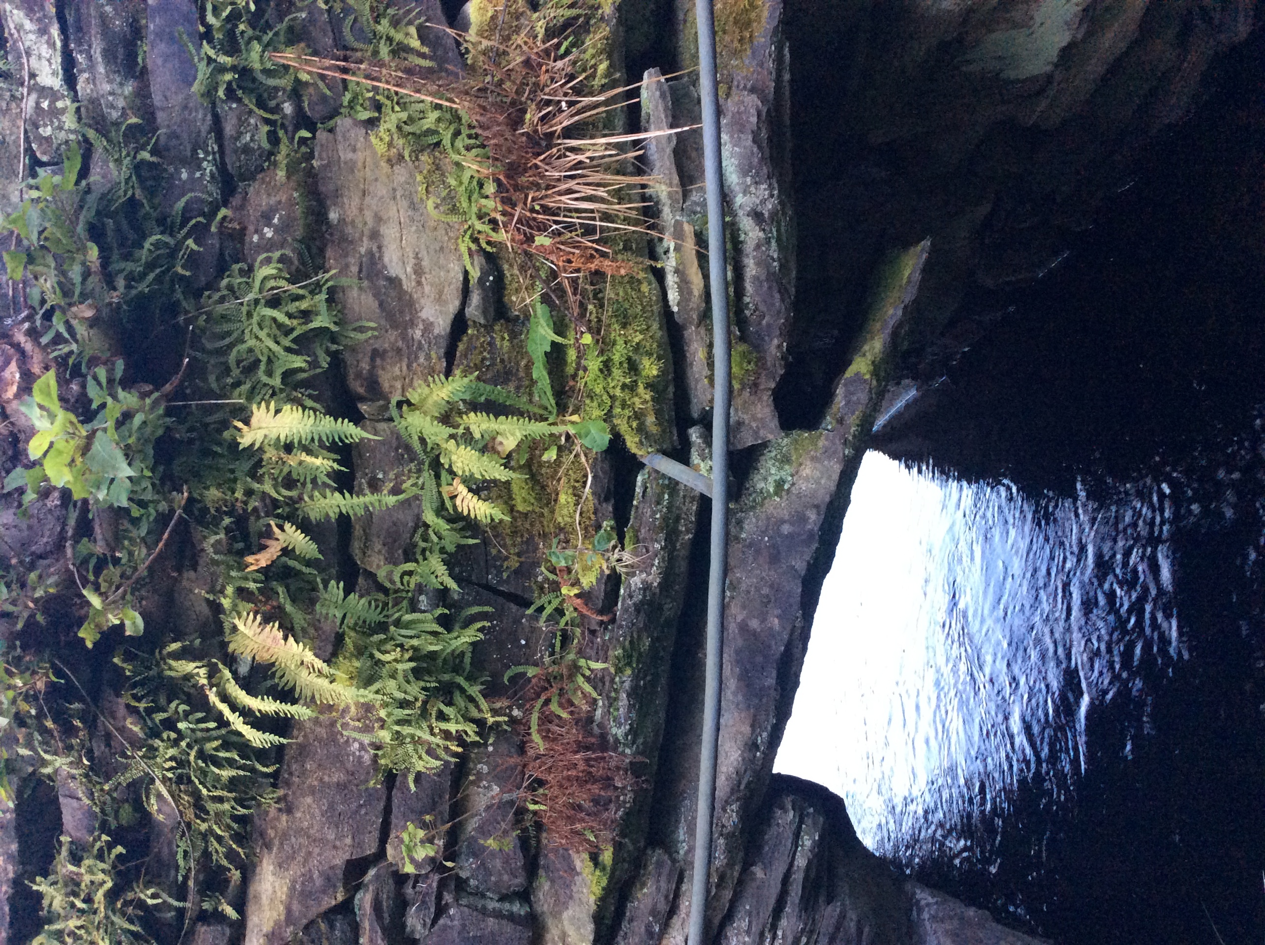 Befaring av skade Midtun bro oktober 2023